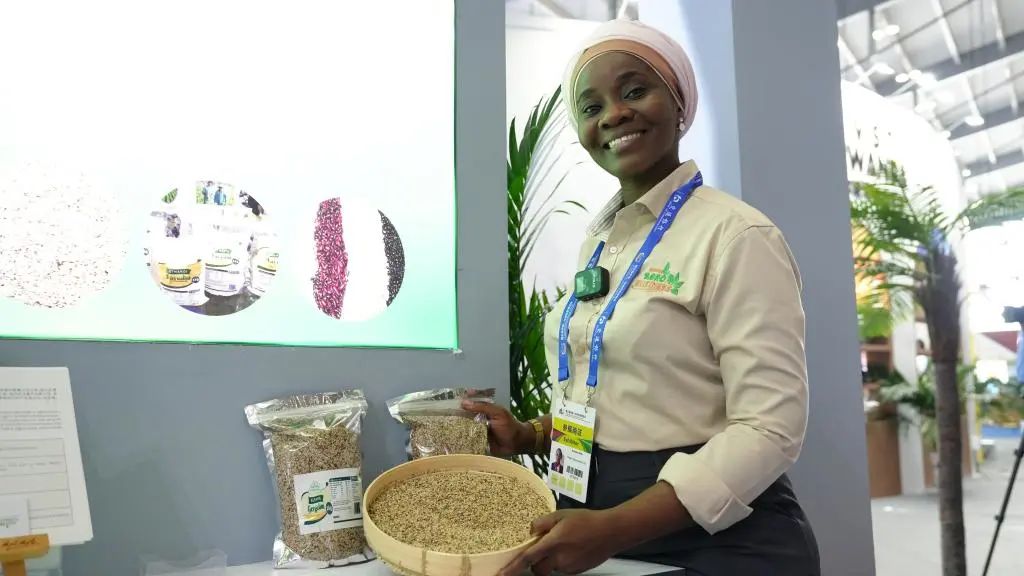 1698387839480528.jpg 1698387839480528.jpg