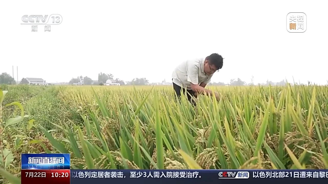 微信图片_20240723124400.jpg
