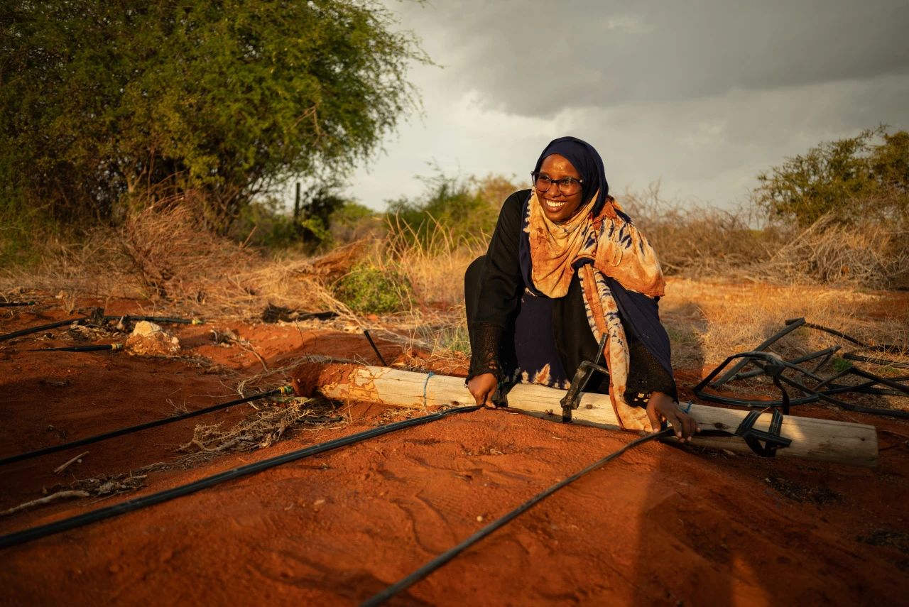 1741664095565096.jpg 1741664095565096.jpg