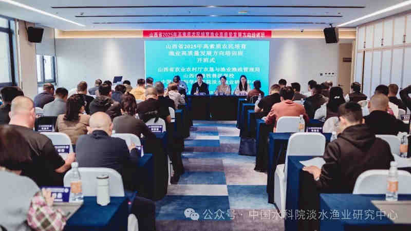 1761786150732325.jpg 045_副本.jpg