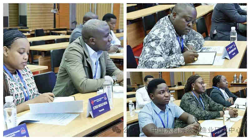 1762141843275084.jpg 966_副本.jpg