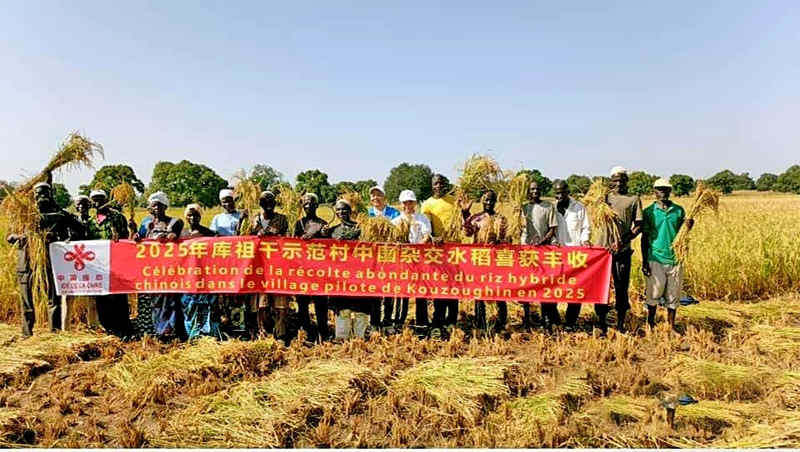 1763082284313788.jpg a_副本.jpg