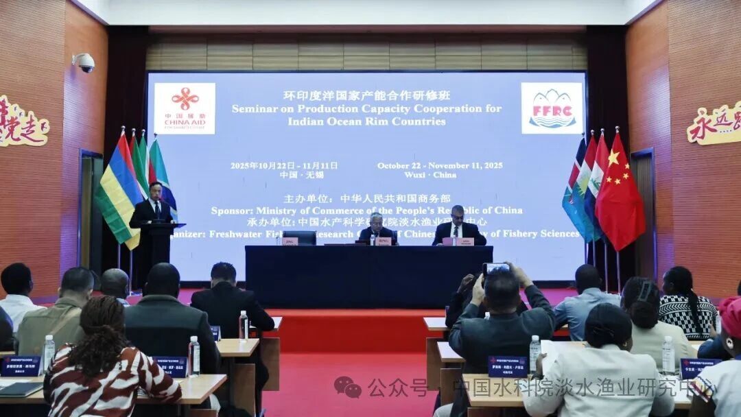 1763431030549533.jpg 727.jpg