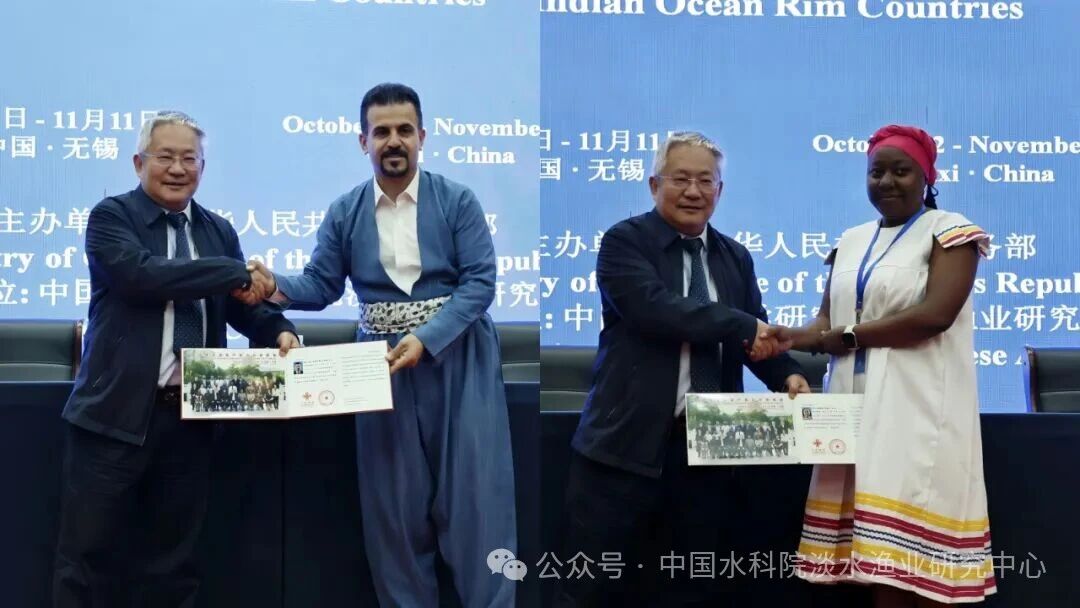 1763431039513730.jpg 751.jpg