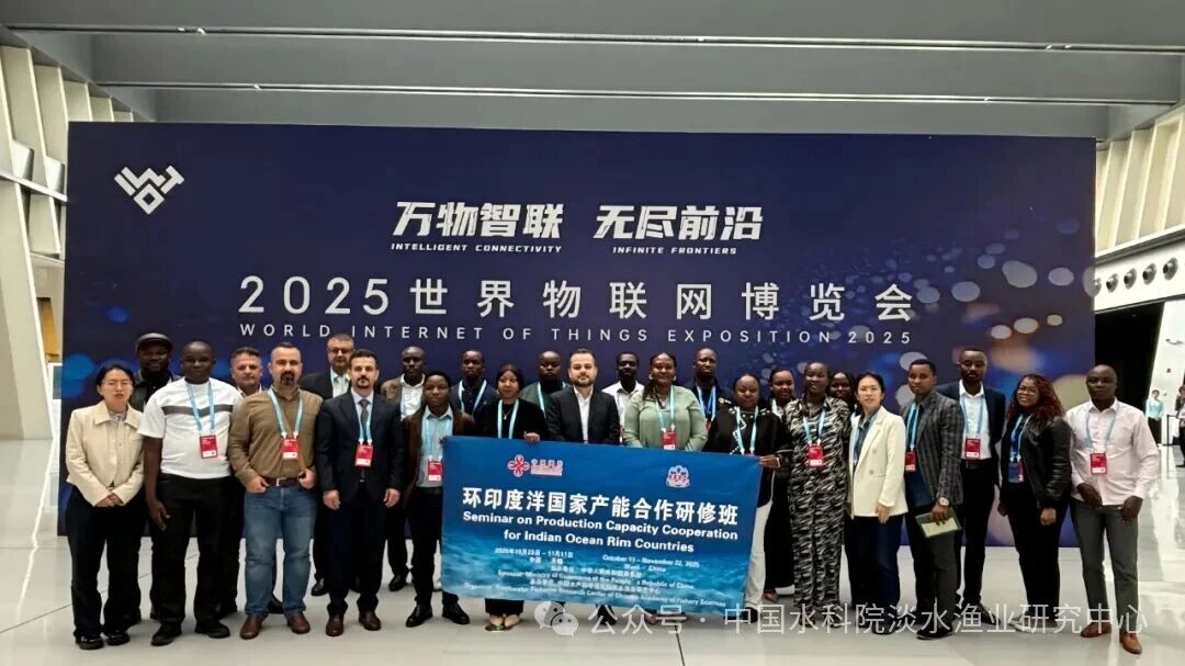 1763431047660618.jpg 239.jpg