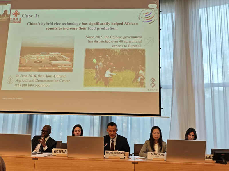 1764035136522131.jpg 935_副本.jpg