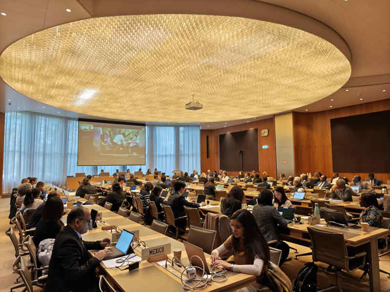 1764035146508089.jpg 268_副本.jpg