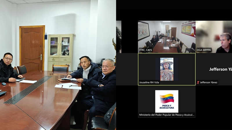 1764118627134664.jpg 210_副本.jpg