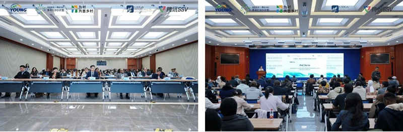 1764728099110514.jpg 555_副本.jpg