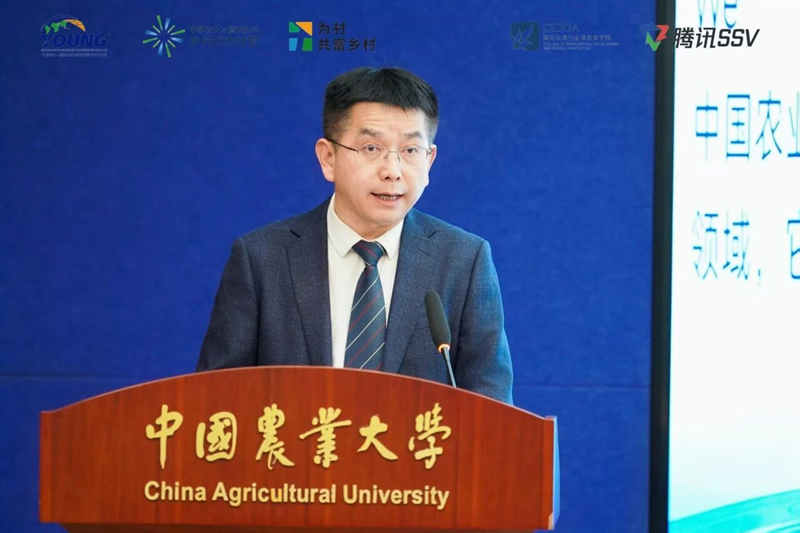 1764728114297203.jpg 823_副本.jpg