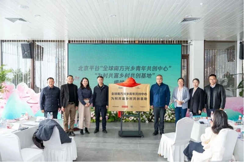 1764728654401136.jpg 556_副本.jpg