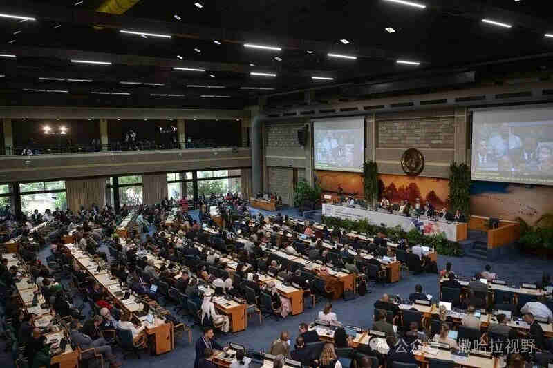 1765334209296565.jpg 43.jpg