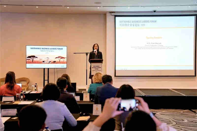 1766106787973383.jpg 84_副本.jpg