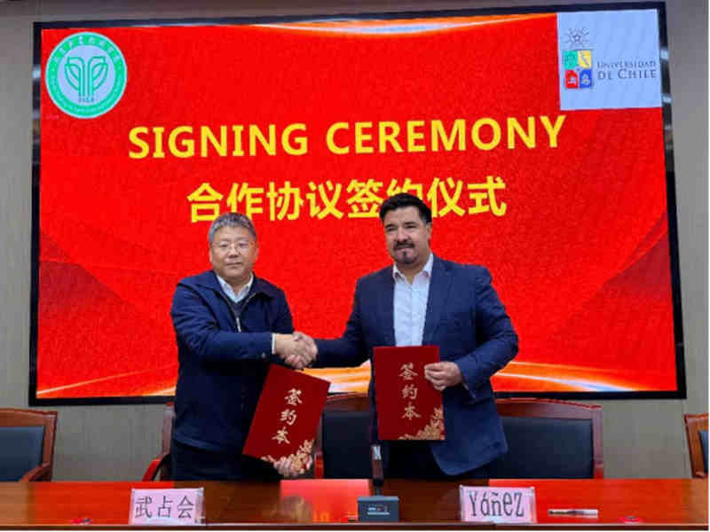 1767836467701025.jpg 258_副本.jpg