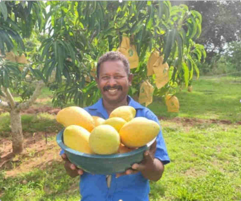 1767836917707754.jpg 01_副本.jpg