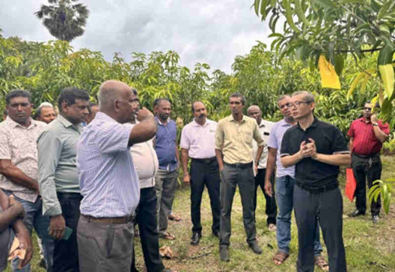 1767837039808815.jpg 04_副本.jpg