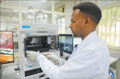 1769046634861191.jpg 369.jpg