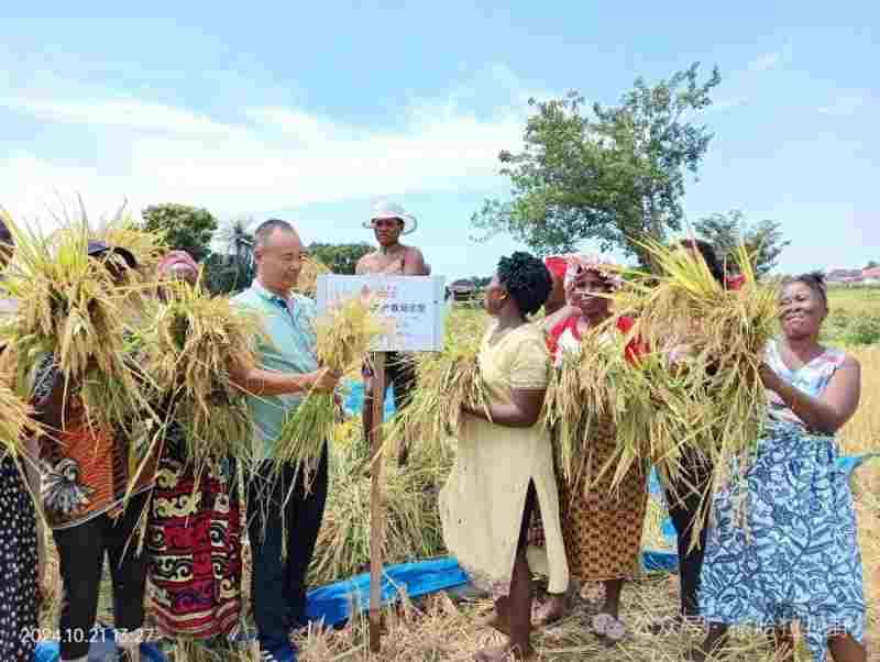 1769129805813318.jpg 206_副本.jpg