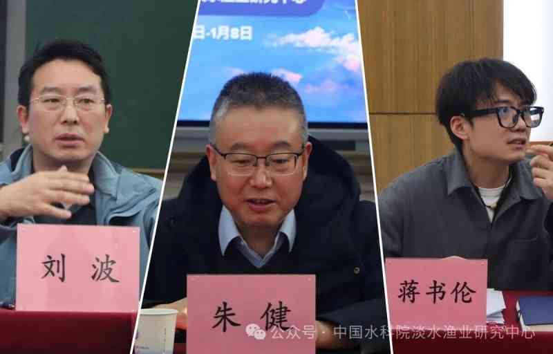 1769479758594860.jpg 509_副本.jpg