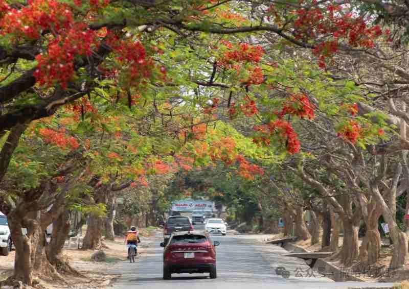 1772088323642302.jpg 719_副本.jpg