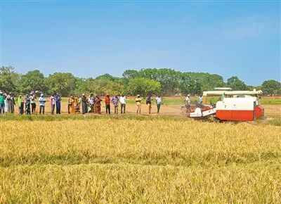 1772236249373366.jpg 419.jpg