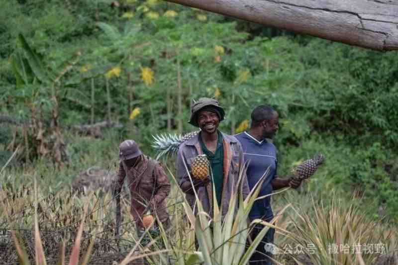 1772237428703057.jpg 289_副本.jpg