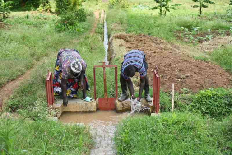 1774228562145740.jpg 02_副本.jpg