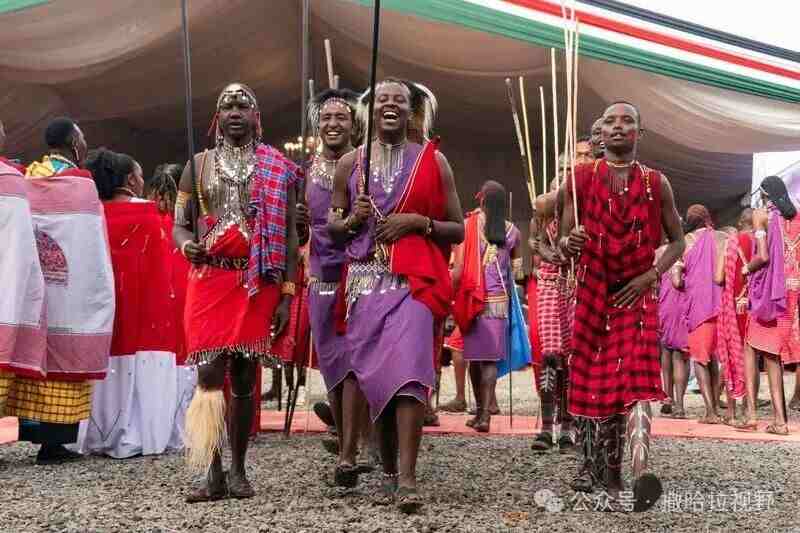 1774228868375772.jpg 492_副本.jpg